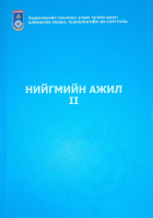 Нийгмийн ажил